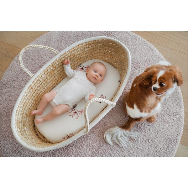 Carrycot sheet 2-pack Black Dots/Grey Dots