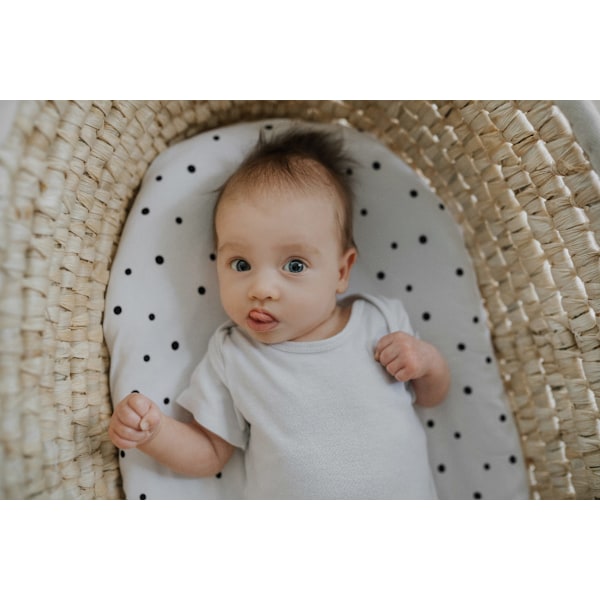 Carrycot sheet 2-pack Black Dots/Grey Dots