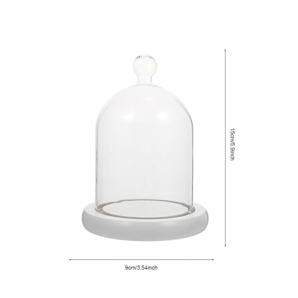 1 st Micro Landskap Tårta Evigt Liv Blomma Glasskydd för Skyddsdekor