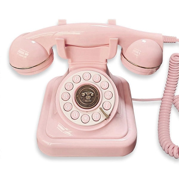 Europeisk Retro Bröllops Ljudmeddelandebok Födelsedag Röst Rosa