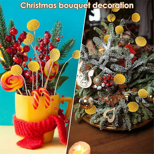 48 st Torkade Blommor Torkade BillyBalls Torkade Craspedia Blommor