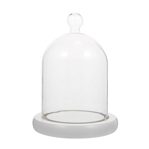 1 st Micro Landskap Tårta Evigt Liv Blomma Glasskydd för Skyddsdekor