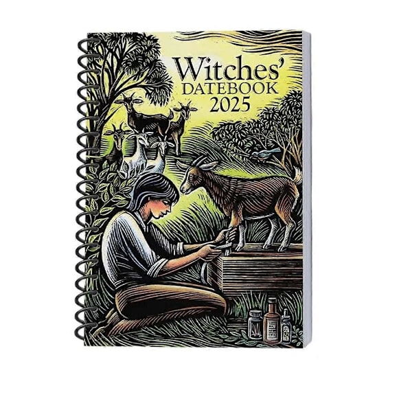 Hekses Dagbog 2025 Moderne Hekses Grimoire Journal Smuk