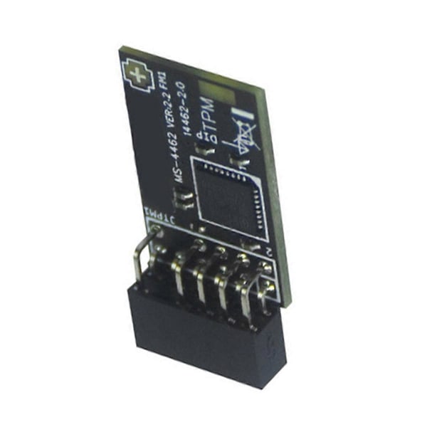 TPM2.0 Modul TPM SPI 12Pin Krypteringssäkerhetsmodul för Moderkort för 10 11