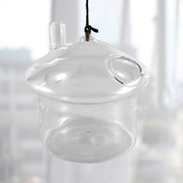 Svampeformet Hængende Glas Plantekasse Vase Rumble Akvarium