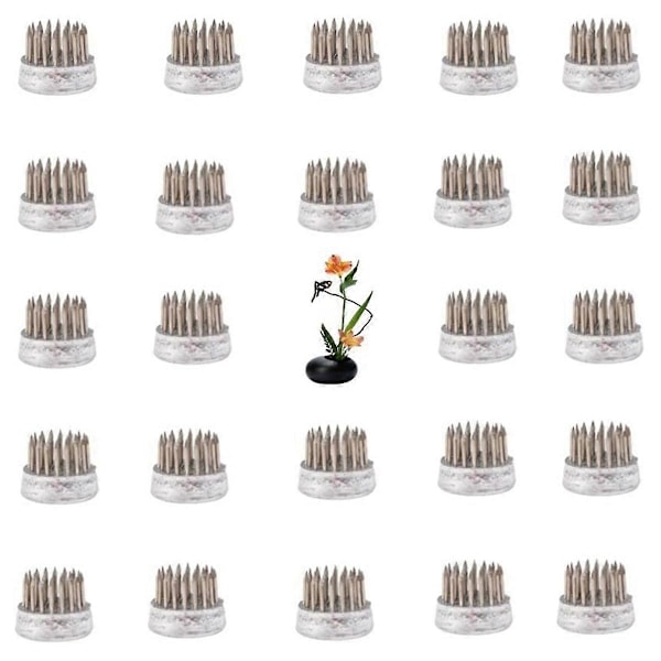 Blomsterfrøer til arrangementer Holder Blomsterfrø Rustfrit stål Pin Frø til klasseværelse, hjem, kontor (0,9 tommer 24 stk)