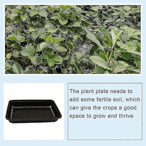 10 st Fröbrickor. Hållbara Plant Germination Brickor i Plast. Plantbricka