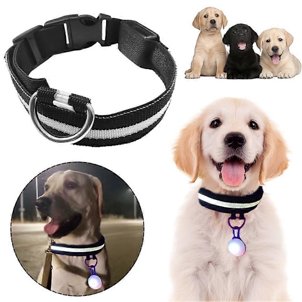Hundhalsband LED Självlysande Halsband för Husdjur Hund Katt Anti Förlorad Hundbricka Justerbar