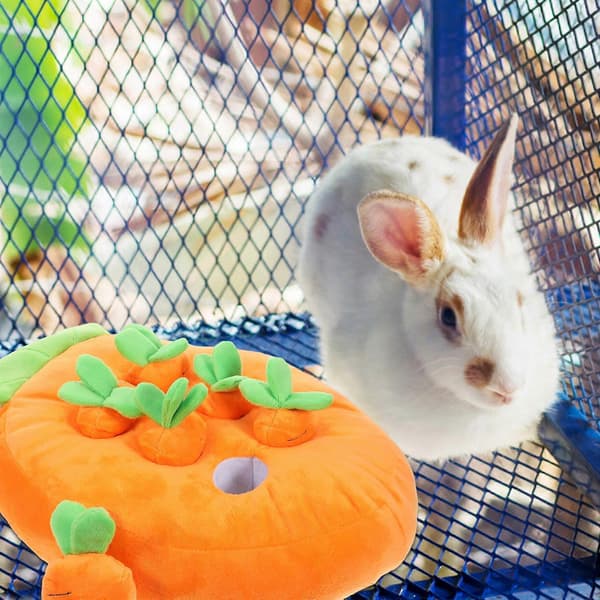 1 Set Morotsformad Kanin Foderleksak Snuffelmatta Leksak för Kanin Interaktiv Foderleksak för Marsvin Hamster