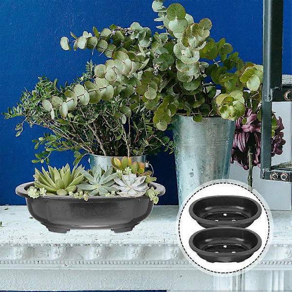 2 kpl Bonsai-harjoitusruukku puutarhanhoitoon Bonsai-ruukku kasvien viljelyyn puutarhaan soikea kasviastia