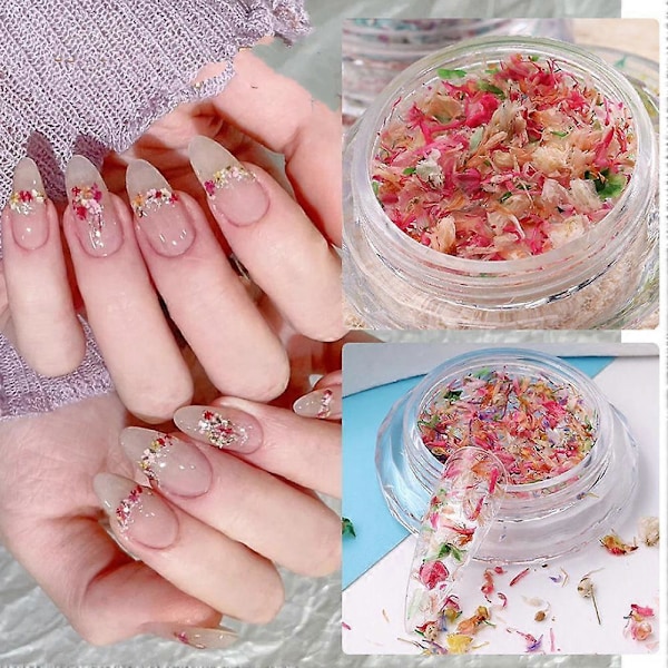 Nagelkonst Torkade Blommor Dekoration Vår- och Sommarblommor Torkad Blomma A