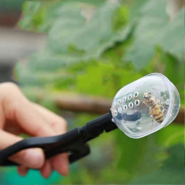 Terraarioon tarkoitettu muovipihdit pinsetit lemmikkieläinten ruokintatyökalu A