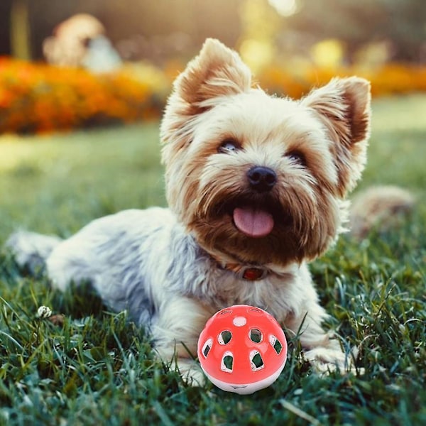 Flerfärgad ihålig klockboll plastboll kattleksak hund D4E2 ljudklockleksak