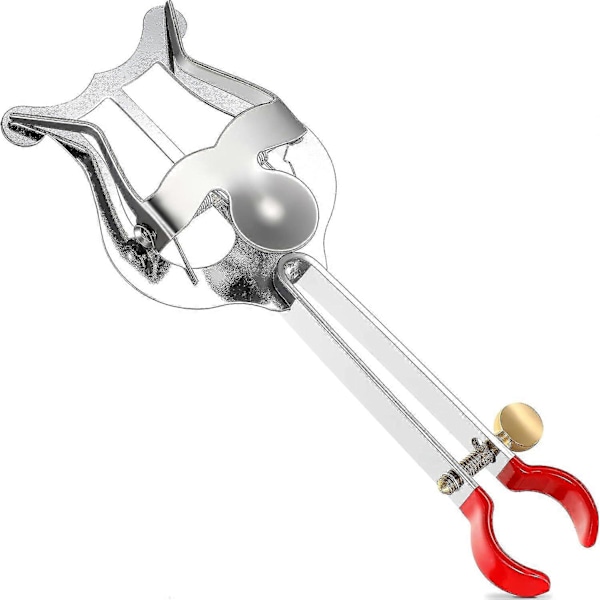Trompet Lyre Lyre til Trompet og Flip Folder Sølv Trompet Lyre Letvægtsinstrument Lyre Trompet March Lyre til Instrumenter 14 X 52 Cm