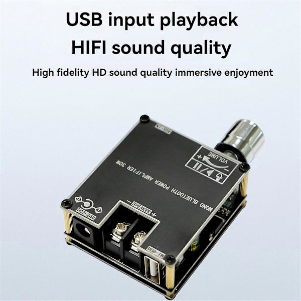 -301B Bluetooth Förstärkarkort Ljud Effektförstärkarmodul