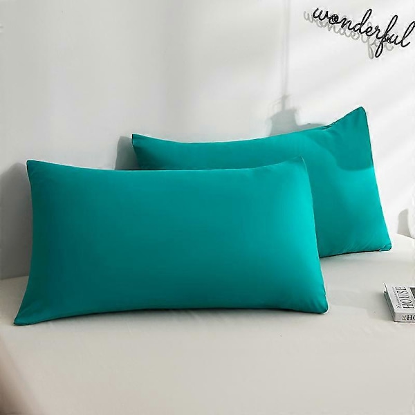Koristeelliset vedenpitävät ulkotyynynpäälliset, puutarhatyynynpäälliset, koristetyynyliinat, 12x20 tuumaa, 2 kpl