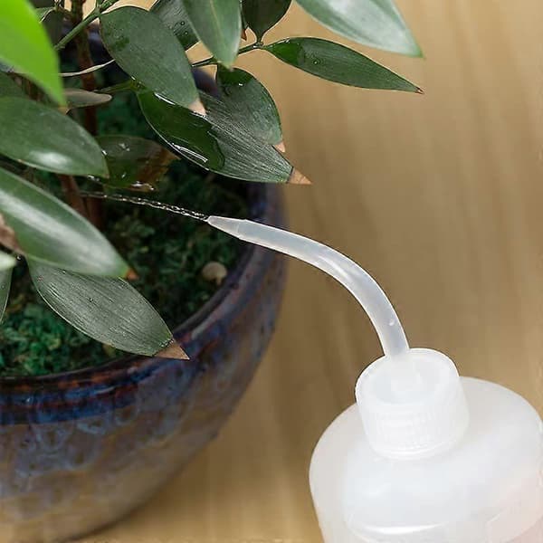 Pakke med 3 sukkulentvannkanner - 500 ml