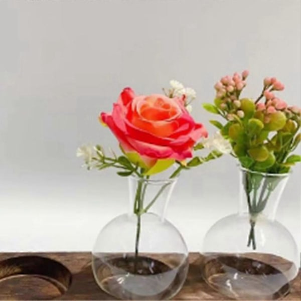 Vintage Förökningsstation Glas Transparent Blomkruka
