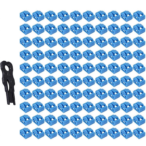 100 kpl sininen RJ45-portin pölysuoja omalla lukitusavaimella