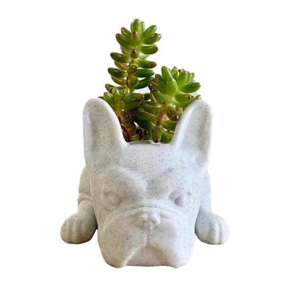 Valp Kruka Dekoration Harts Kruka Hund Blomkruka
