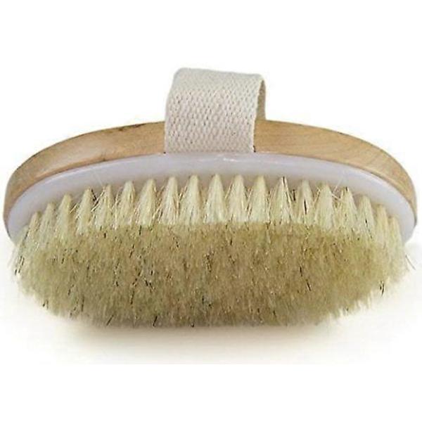 Kroppsborste för torr hud - Naturlig borst - Tar bort död hud och toxiner, Cellulitbehandling, Exfolierar, Stimulerar blodcirkulationen