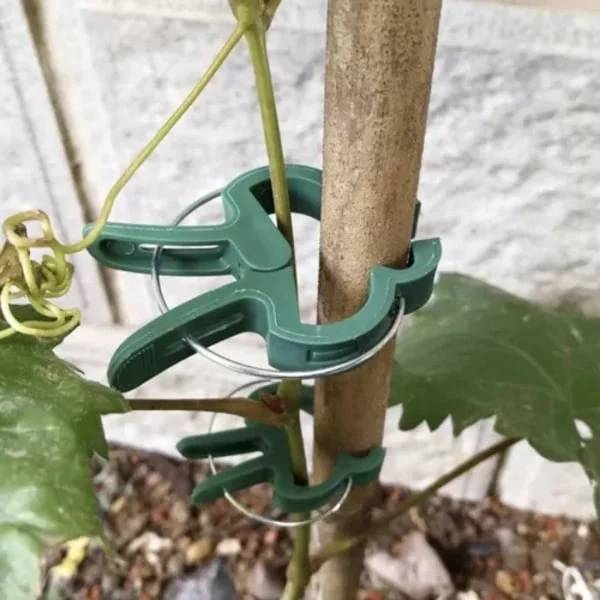 Planteklemmer / Clips - 108 stk-FA- big