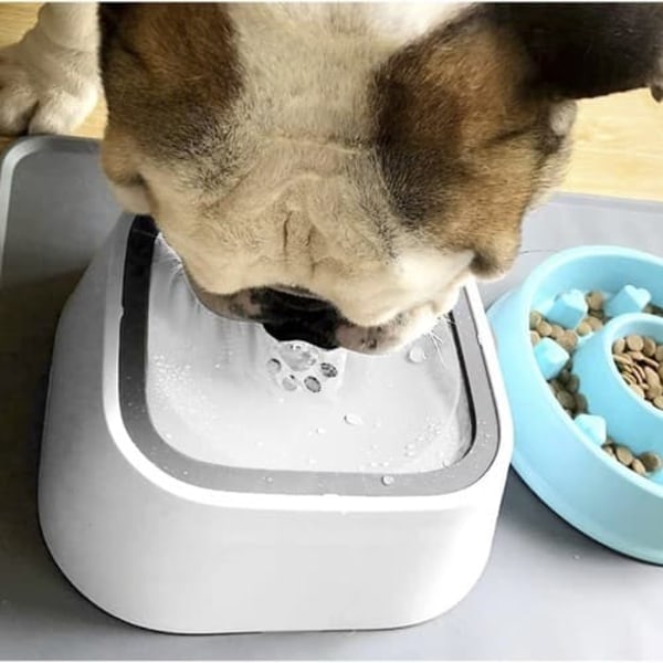 Matskål / Vattenautomat till Hund & Katt / Vattenfontän - 1,5l