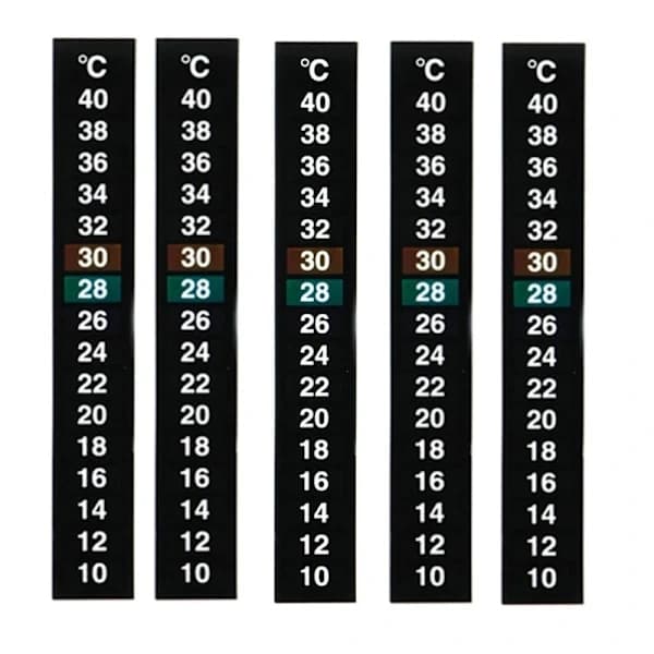 5-pakning tradisjonell digital klistremerketermometer med Celsius-system