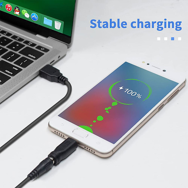 TS-5v DC 5.5 2.1mm Jack Laddningskabel Strömkabel, USB till DC Strömkabel med 13 Utbytbara Kontakter