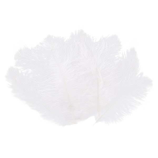 TS-10 Stykker Hvite Naturlige Strutsfjær 20-25cm Bryllup Diy