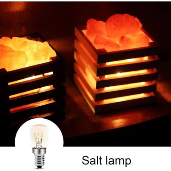 TS-Ampoule Ovn 25W 300 Grader E14 T25 Glødepære 2700K Varm Hvid Dæmpbar Pygmæpærer Til Ovn, Mikroovn, Saltlampe, 4 stk.