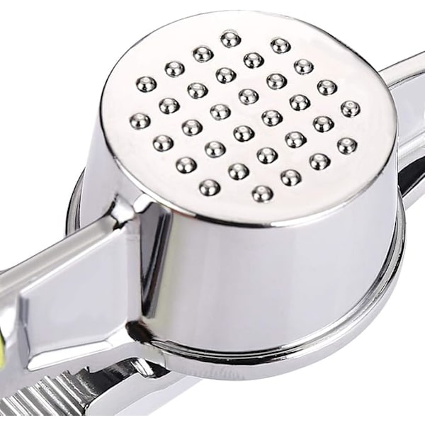 Professional Stainless Steel Garlic Press with Comfortable Handle