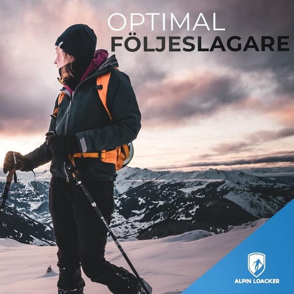 Vandrestave Carbon Sammenklappelige ALPIN LOACKER