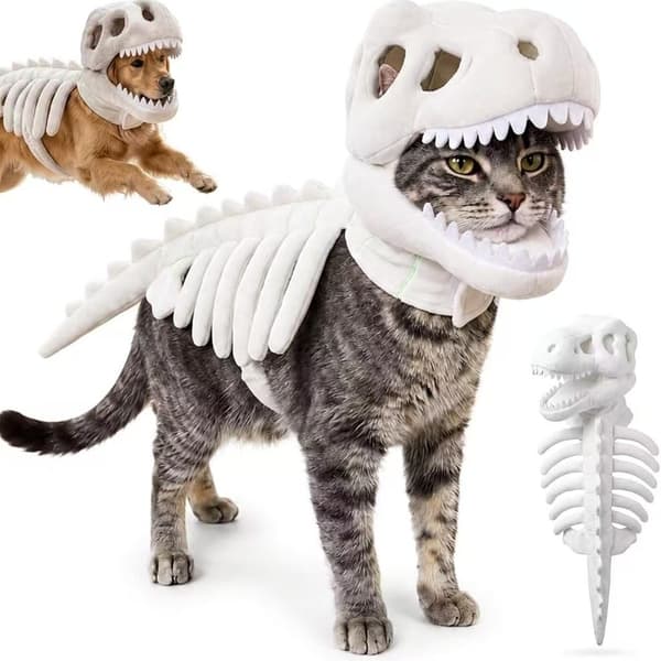 Dinosaur Skeleton Costume for Pets - Creative Halloween Outfit 35cm 35cm Glow-
