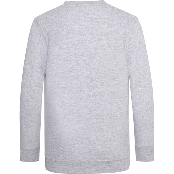 AWDis Academy Børn/Junior V-hals Skoletrøje/Sweatshirt Grå 11-12 År Grå