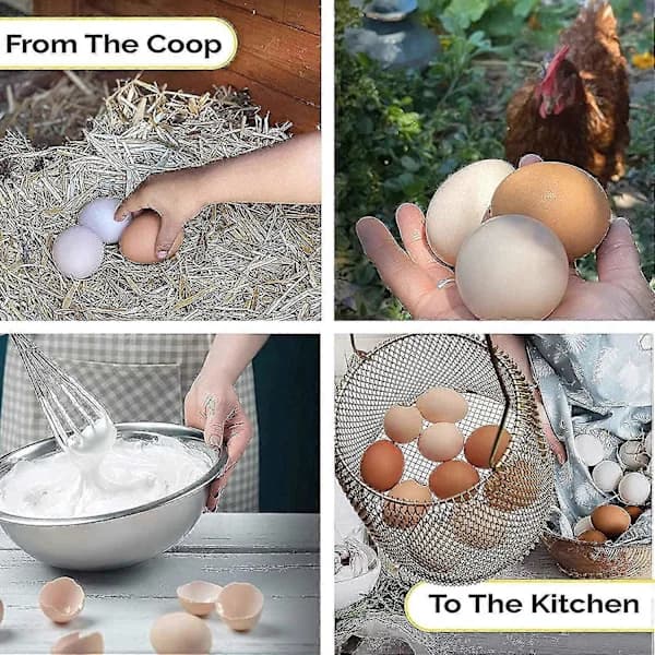 Eggkurv, sammenleggbar mini-eggoppbevaring for egg - kan enkelt laste egg for transport og innsamling