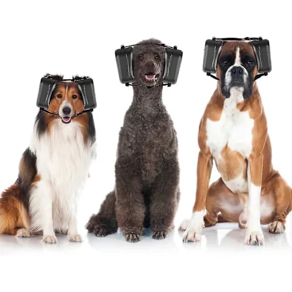 Høreværn til hunde, støjreducerende høreværn til hunde, støjreducerende hovedtelefoner til hunde, høreværn til hunde sort