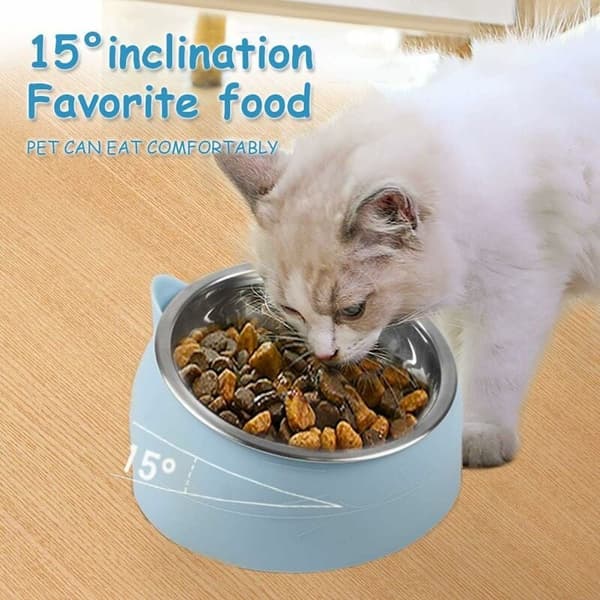 Raised Tilted Cat Bowl 200ml Removable Stand for Cats and Dogs