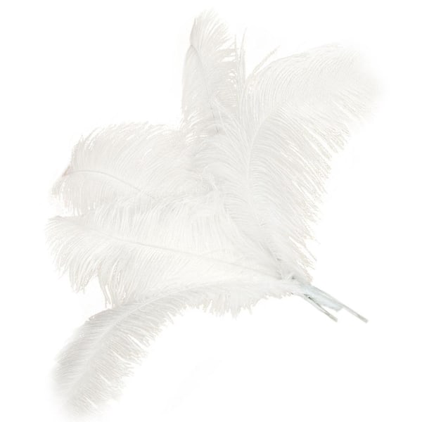 10 stk. strudsefjer Bryllup Fest Dekoration Hvid 40-45cm
