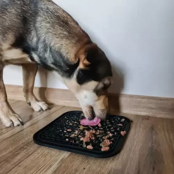 Slow Feeder Bricka för Hund & Katt - Ät Långsammare