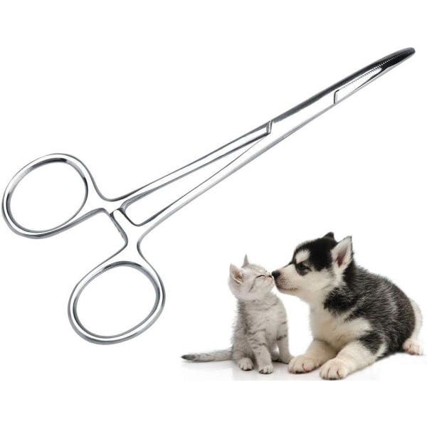 Husdjursvårdsverktyg: Låstång, sax och pincett för effektiv öronvård