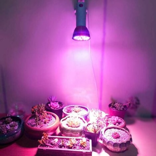 TS-Ampullampa för Växt, LED Växtlampa 10W E27 Högeffekts Panel Fullspektrum LED för Växthus Hydroponisk Odling Grönsaker i Krukväxter