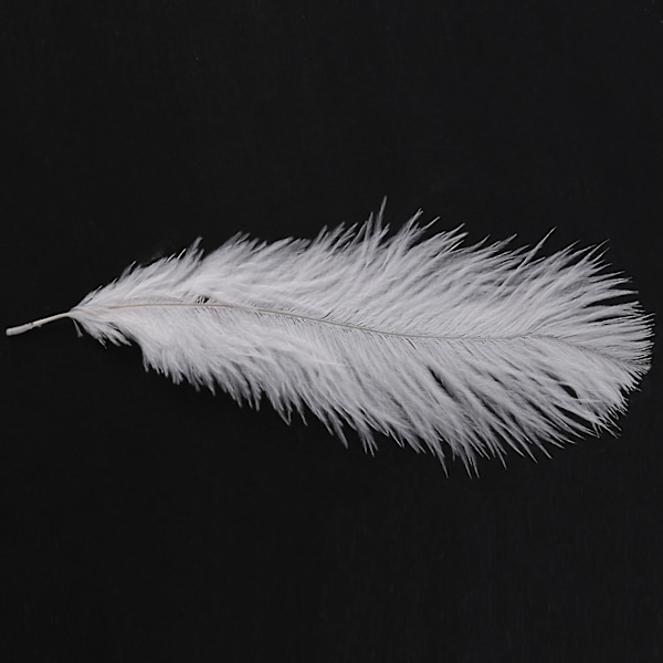 TS-20 Stykker Hvide Naturlige Strudsefjer 20-25cm Bryllup DIY