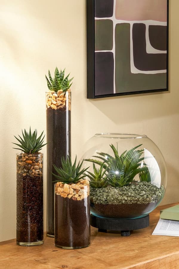 Rund Glasfiskskål Vas 40 cm Klar Skål för Blommor Växter Terrarium Heminredning Vardagsrum Mittpunkt