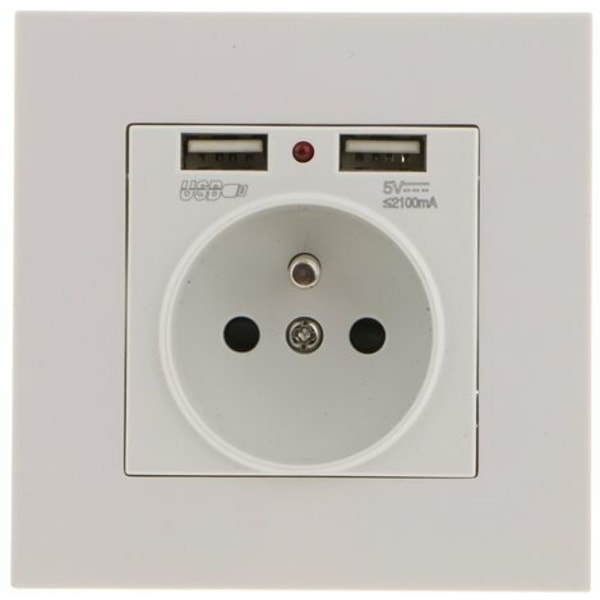 TS-Vägguttag, Elektriskt Vägguttag med Dubbel USB 5V/2100mA, Infällt Uttag med 2 USB-Portar Praktiskt och Hanterbart