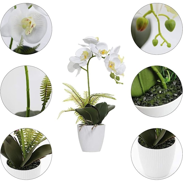 41cm Hvid Kunstig Orkidé Falsk Phalaenopsis med Vase