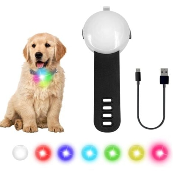TS-Collier Lumineux Chien LED Riipus Lamppu Koiran LED Ladattava Vedenpitävä 4 värin vaihtotilaa Säädettävä koiran pantaan