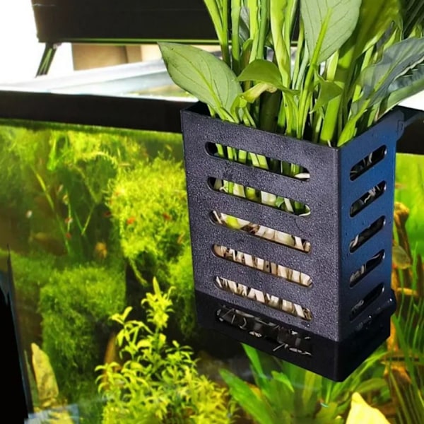 Hængende Akvarium Plantestativ Flydende Plantepotte med Hængekroge Kobber Plastkurve til Vandplanter Sort