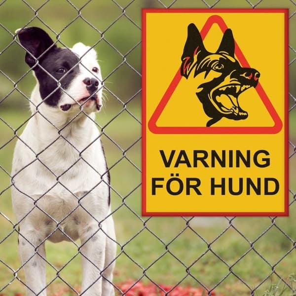 VARNING FÖR HUND Skylt - Hundskylt / Varningsskylt / A4