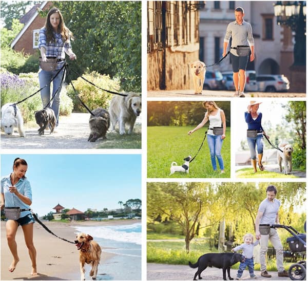 Hundgodispåse med blixtlåsficka och justerbart bälte för träning, promenader och utomhusaktiviteter, grå